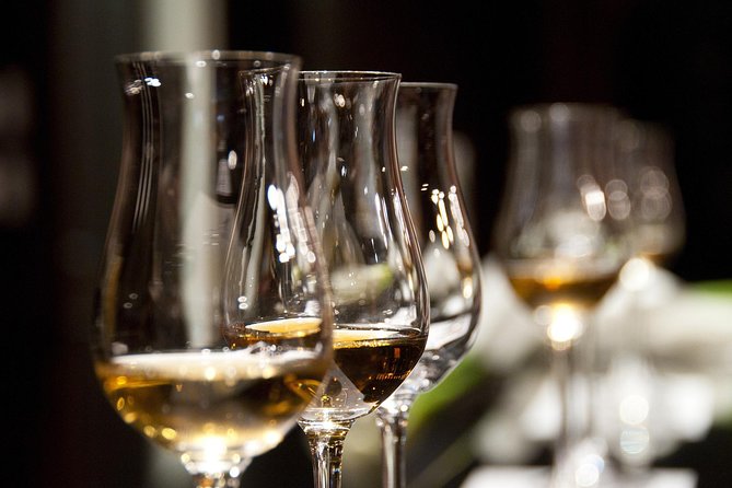 Half-Day Stellenbosch Winelands Tour from Cape Town - Pickup, transport, and group size