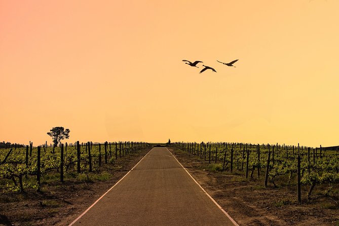 Half-Day Stellenbosch Winelands Tour from Cape Town - Wine and cheese at the first estate