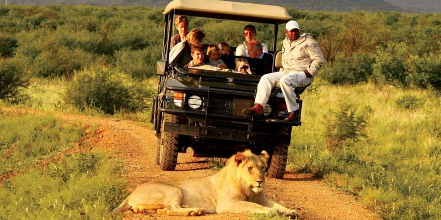 Half Day Tala Game Reserve & Natal Lion Park from Durban - Why the $190 price may or may not be good value
