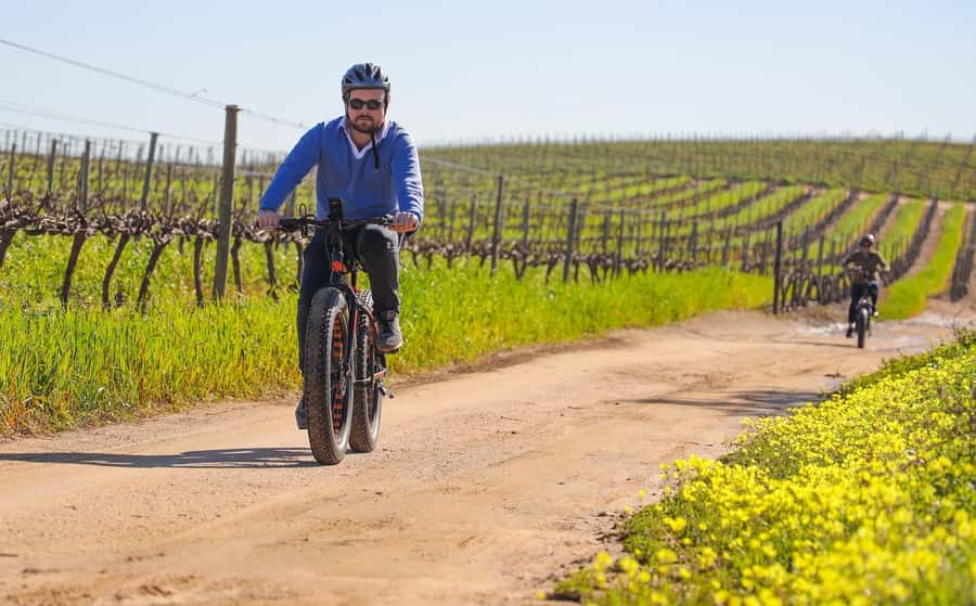Half-Day Winelands E-Bike Tour with Wine Tasting - Leaving Cape Town for the Winelands