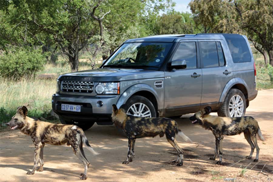 Hartbeespoort: Self-Drive Lion and Safari Park Tour - Key points at a glance