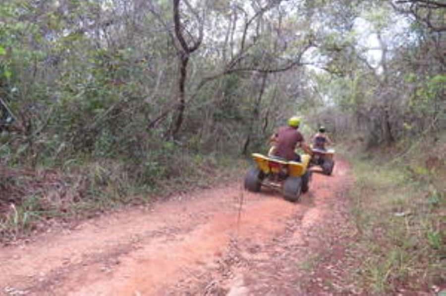 Hazyview : 30 minutes Quad Ride - Forest tracks and macadamia country