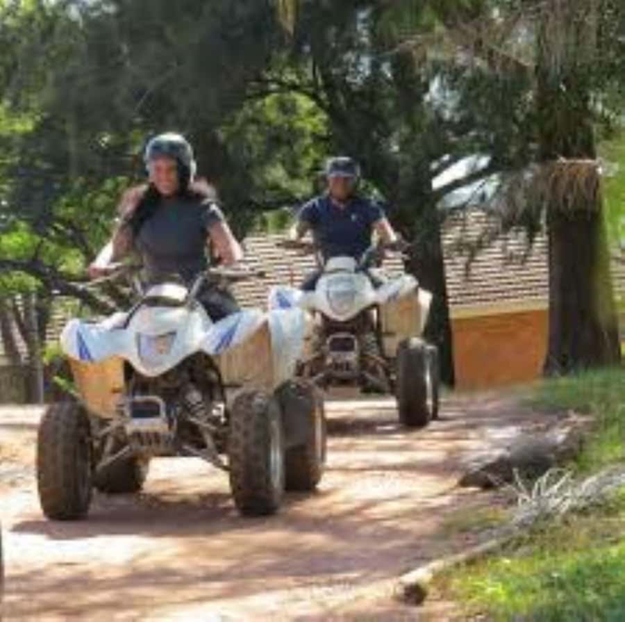 Hazyview: Guided Macadamia Plantation and Forest Quad Safari - A one-hour ride through Hazyview’s working countryside