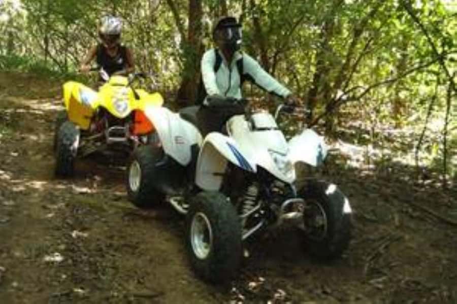 Hazyview: Guided Macadamia Plantation and Forest Quad Safari - Forest trails near the Sabie River
