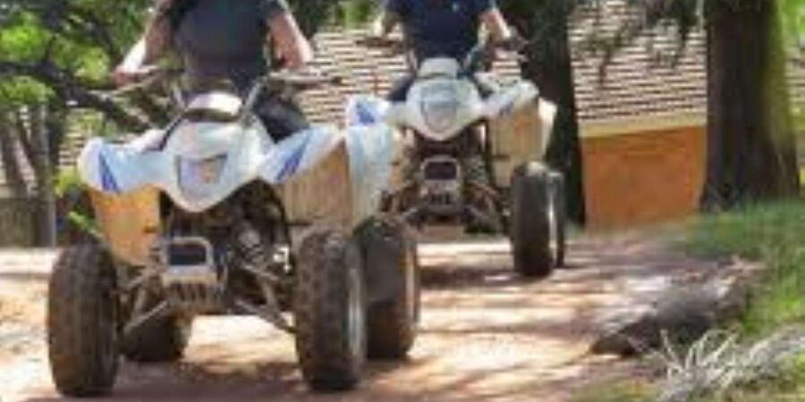 Hazyview: Guided Macadamia Plantation and Forest Quad Safari - What the one-hour format really gives you
