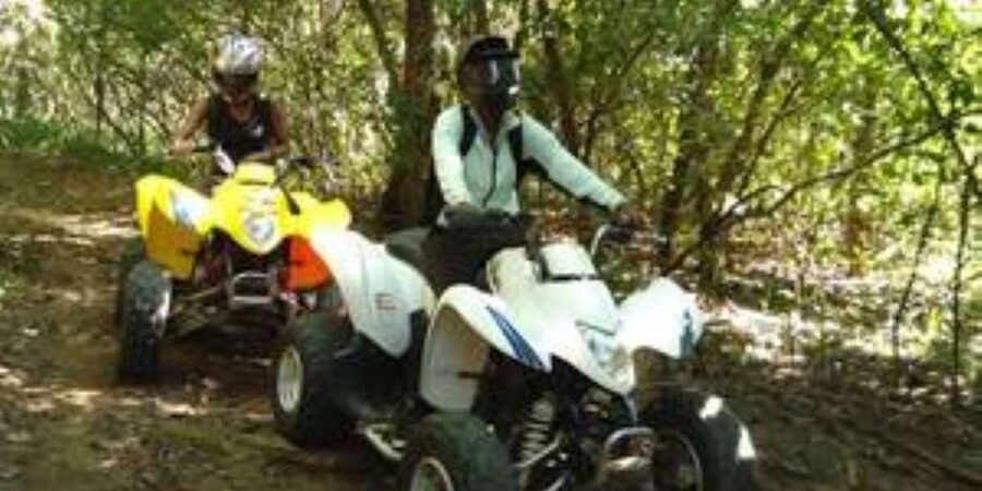 Hazyview: Guided Macadamia Plantation and Forest Quad Safari - FAQ