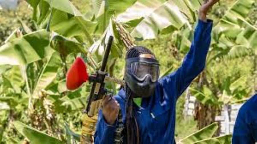 Hazyview : Paintball Target Shooting - Key points at a glance
