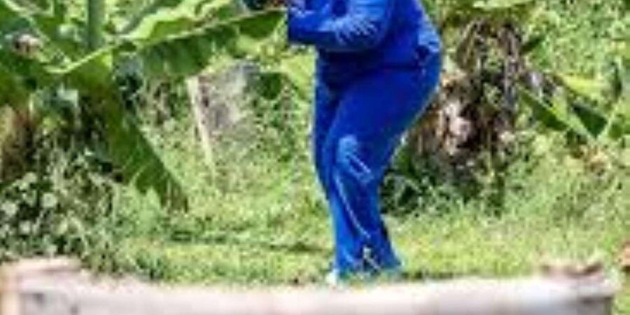 Hazyview : Paintball Target Shooting - The value of $14 per person