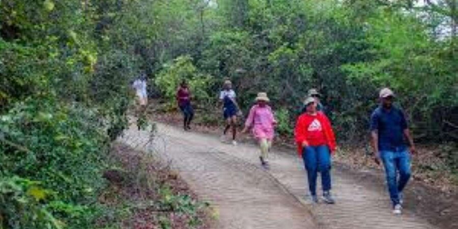 Hazyview : Sabie River Hiking Trail 12km - What to bring for a safer, better walk