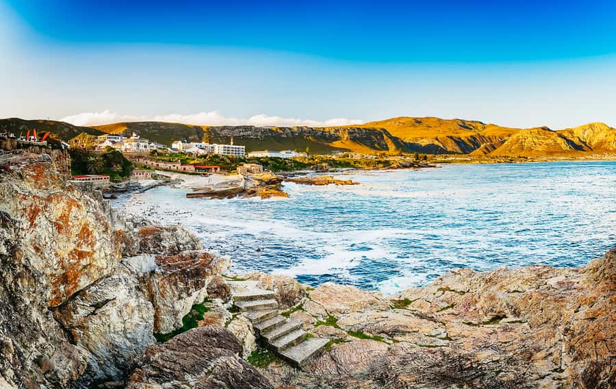 Hermanus: Whale and Dolphin Watching Boat Trip - What the $98 price really buys you