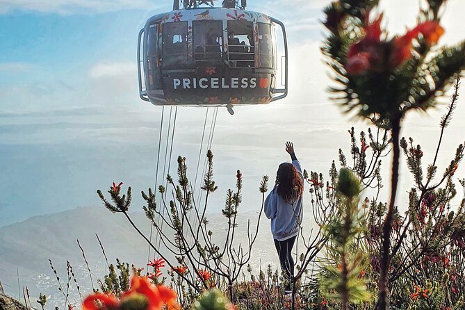 Hike Table Mountain with a Guide - Choose Route - Is $65 good value?