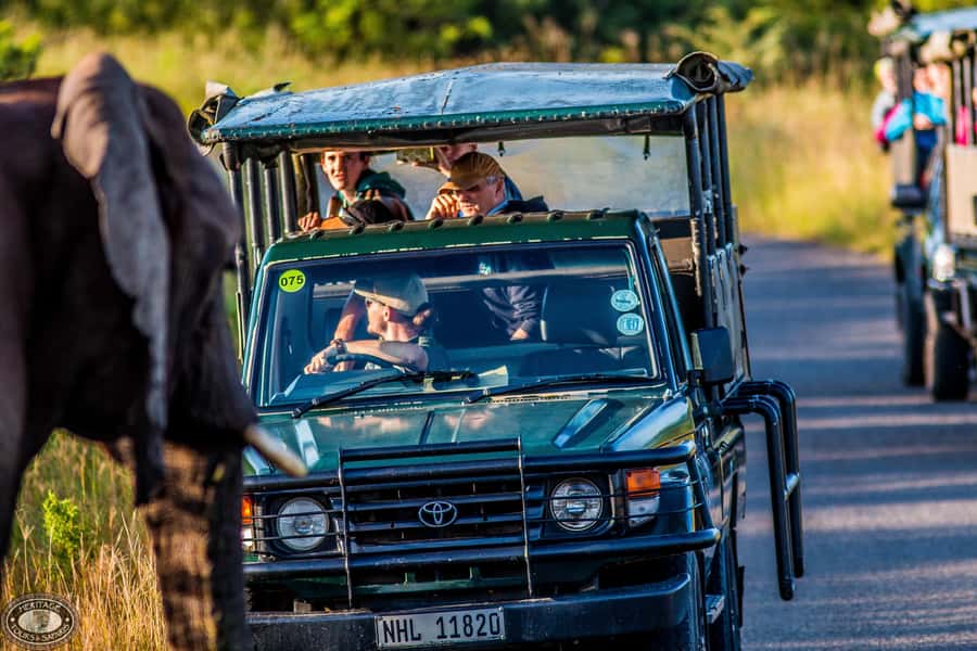Hluhluwe-Imfolozi: Big 5 Full or Half-Day Safari - Key points to know before booking