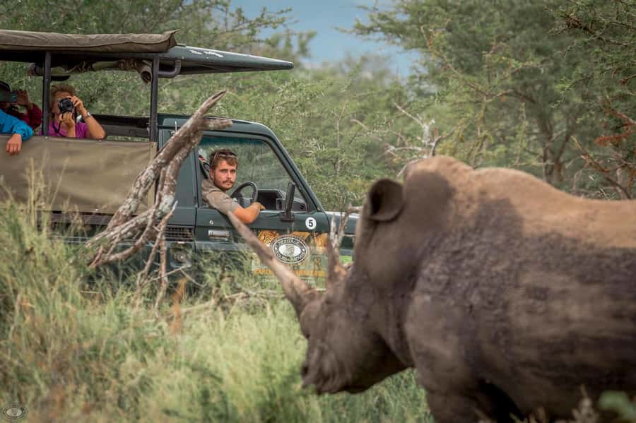 Hluhluwe-Imfolozi: Big 5 Full or Half-Day Safari - What the game drive is really like
