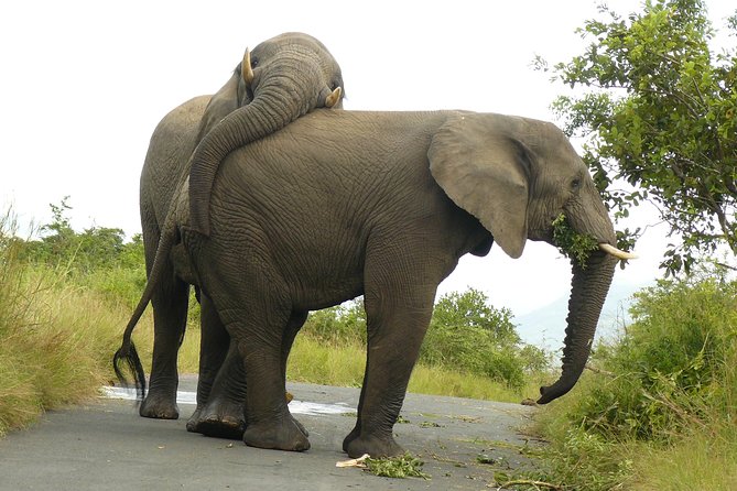 Hluhluwe Imfolozi Big 5 Reserve day Safari from Durban - Entering Hluhluwe Imfolozi