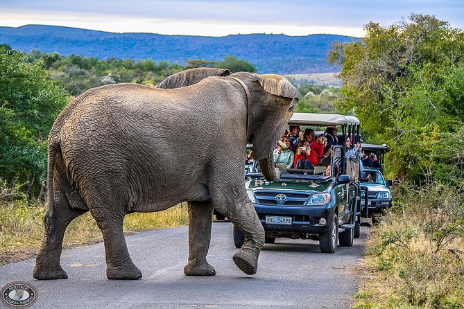 Hluhluwe-Imfolozi Park Full Day Big 5 Safari Tour - Looking for the Big Five and beyond