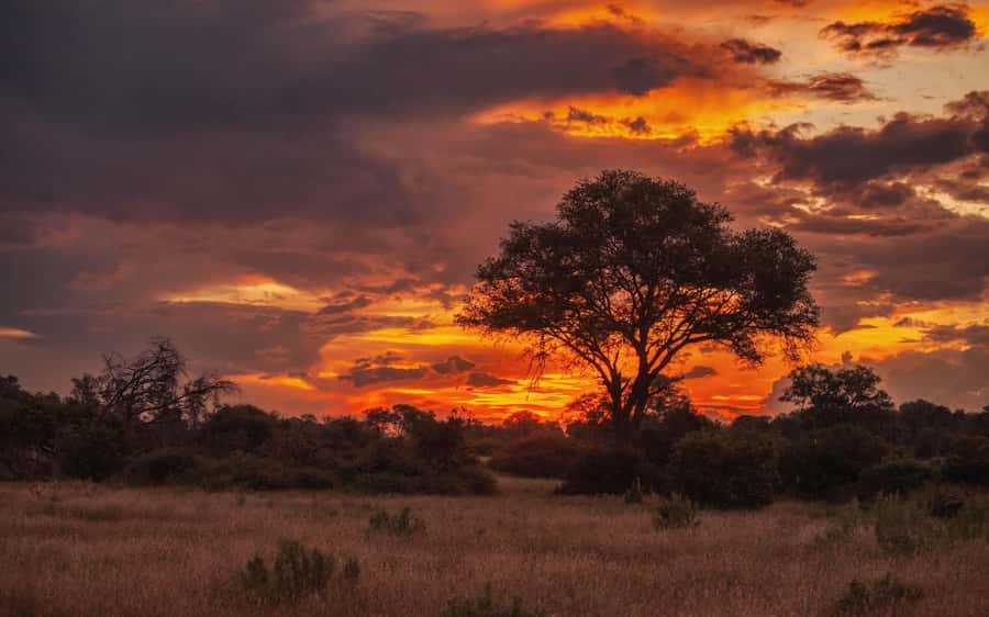 Hluhluwe-iMfolozi Park - Open Safari Vehicle Game Drives - What the open safari vehicle changes