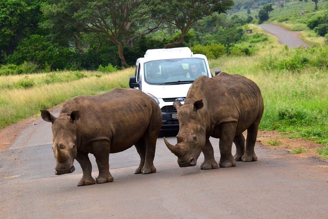 Hluhluwe Imfolozi Safari & St Lucia Boat Safari Day Tour from Durban - Cruising the St Lucia estuary for two hours