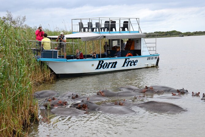Hluhluwe Imfolozi Safari & St Lucia Boat Safari Day Tour from Durban - The 6am pickup and the road north