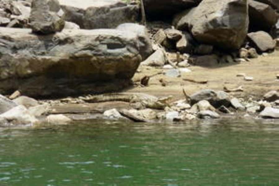 Hoedspruit: Blyde River Canyon Dam Boat Cruise - Seeing Blyde Canyon from the dam