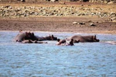 Hoedspruit: Blyde River Canyon Dam Boat Cruise