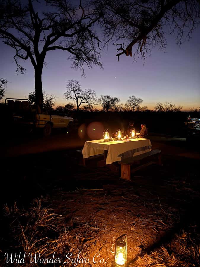 Hoedspruit: Dinner in the Bush & Safari Game Drive - A safari that turns into dinner