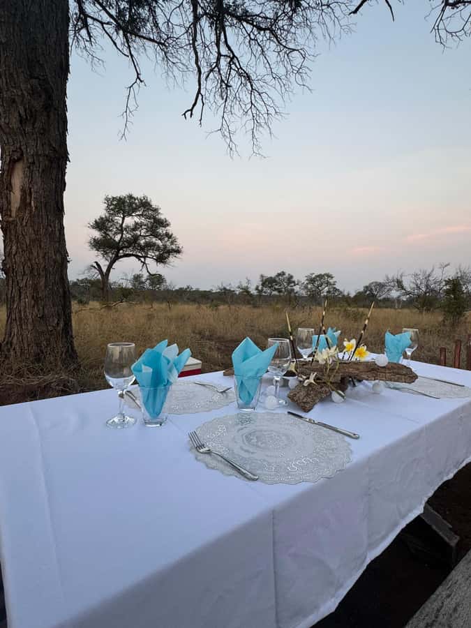 Hoedspruit: Dinner in the Bush & Safari Game Drive - What the open vehicle means for you