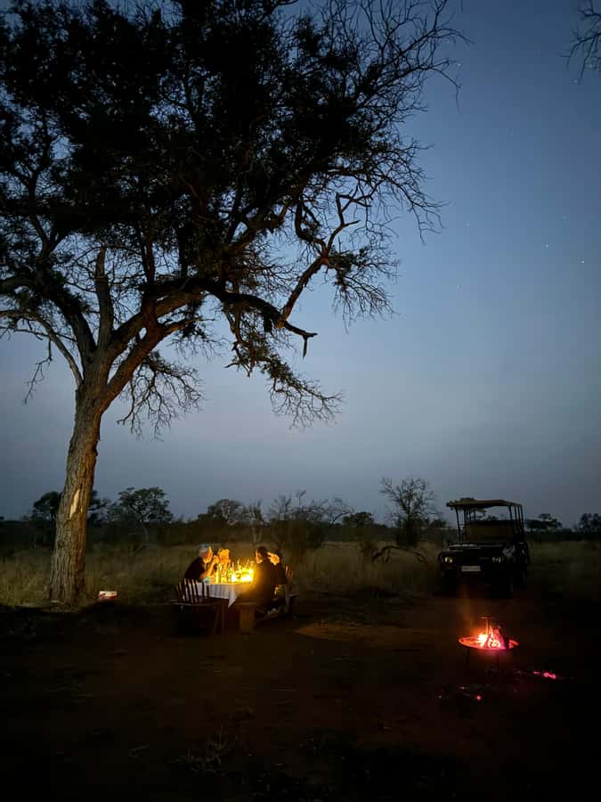 Hoedspruit: Dinner in the Bush & Safari Game Drive - Is $171 a fair price?