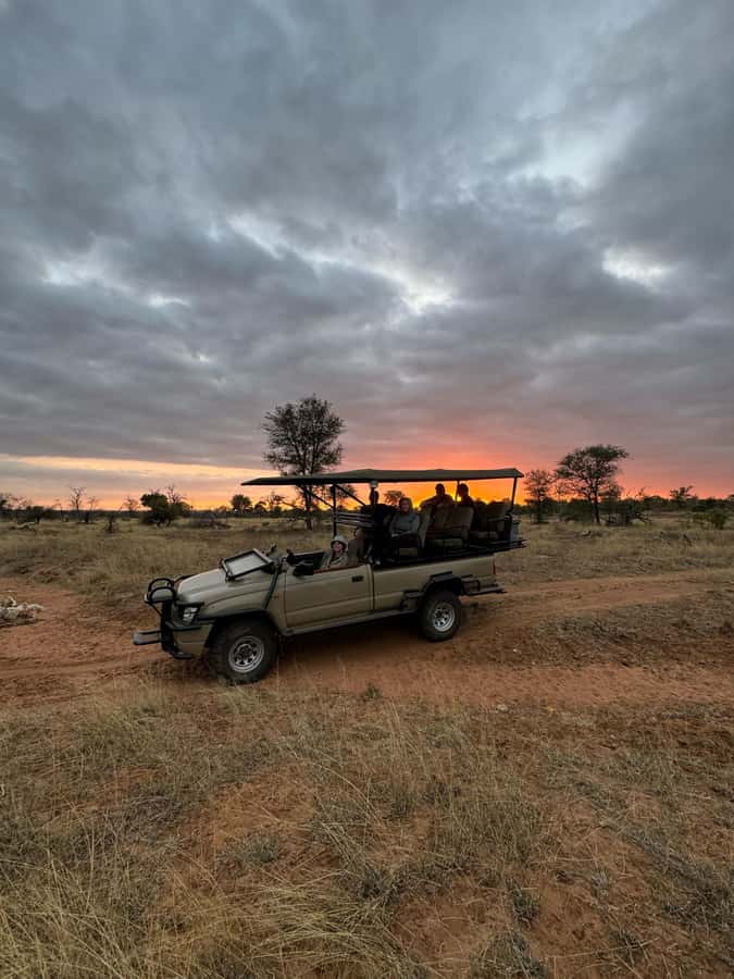 Hoedspruit: Dinner in the Bush & Safari Game Drive - The Greater Kruger game drive