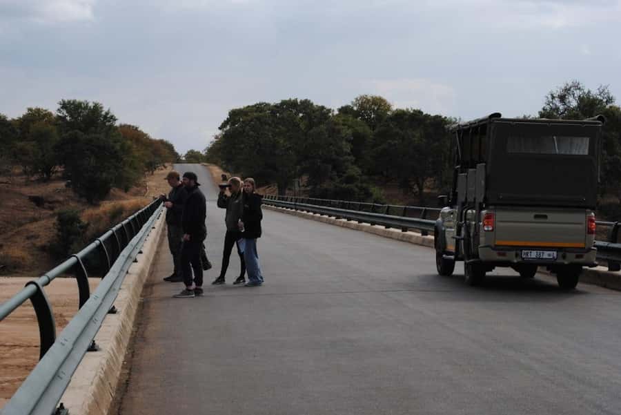 Hoedspruit: Full Day in ICONIC Kruger National Park - Four more hours on the afternoon drive