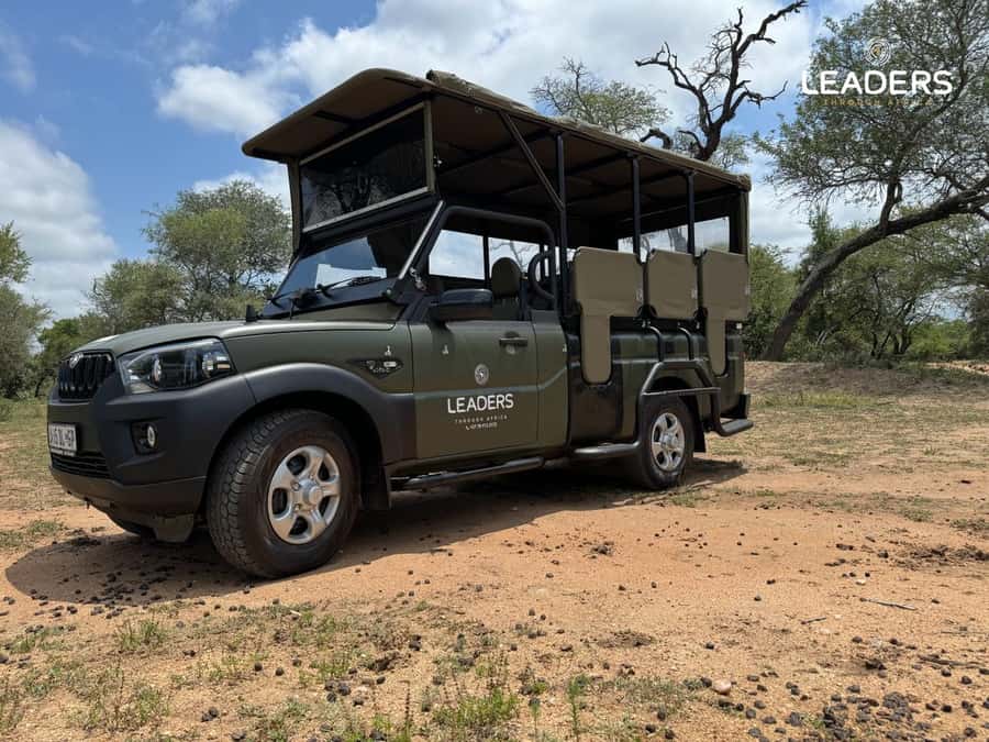Hoedspruit: Private Kruger National Park Full-Day Safari - Ten hours among Kruger’s animals