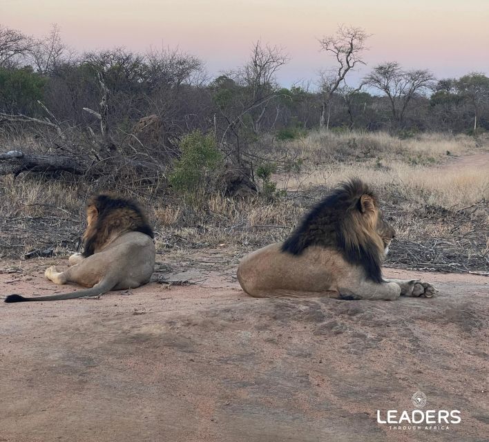 Hoedspruit: Private Kruger National Park Full-Day Safari - Who will enjoy this safari most?