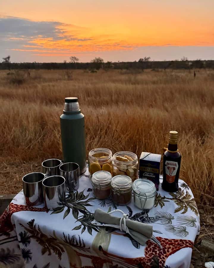 Hoedspruit: Sunrise Safari in Greater Kruger Private Reserve - Starting before sunrise near Hoedspruit