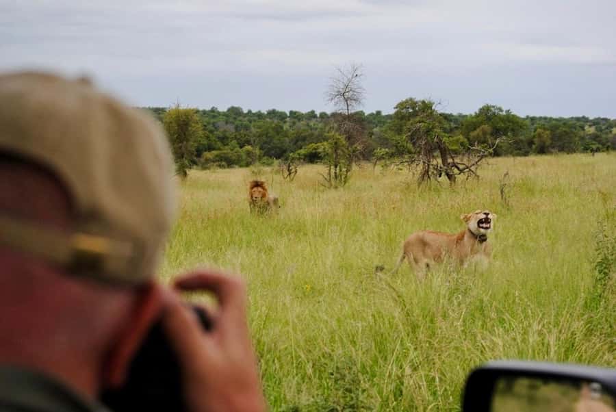 Hoedspruit: Sunrise Safari in Greater Kruger Private Reserve - Following tracks and finding the first animals
