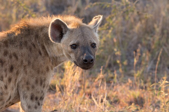 iSimangaliso Sunset Game Drive - Why sunset is the right time for iSimangaliso