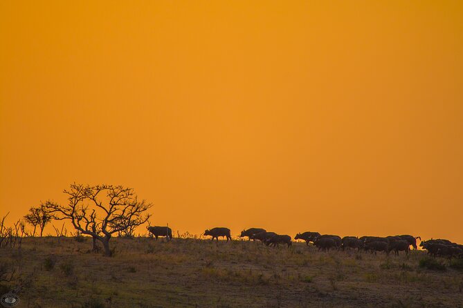 iSimangaliso Sunset Game Drive - Entering iSimangaliso’s Eastern Shores
