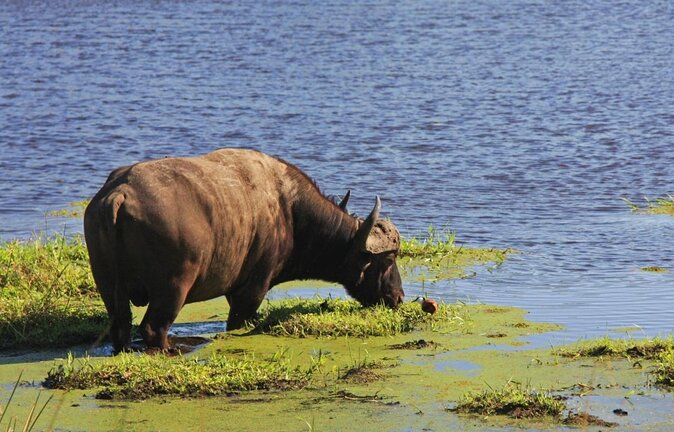iSimangaliso Wetland Park, Full Day Tour - Cape Vidal changes the rhythm of the day