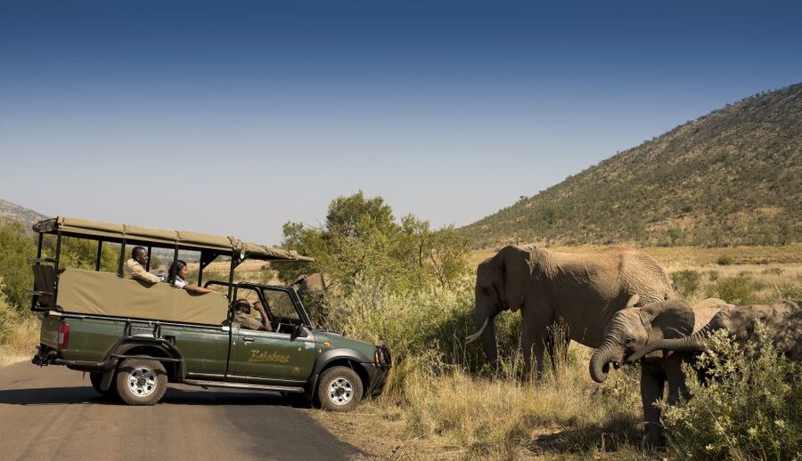 Johannesburg: 2-Day 4-Star Pilanesberg Safari - Is $609 good value?