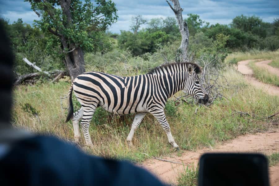 Johannesburg: 3-Day Classic Kruger National Park Safari Tour - What the $959 price really covers