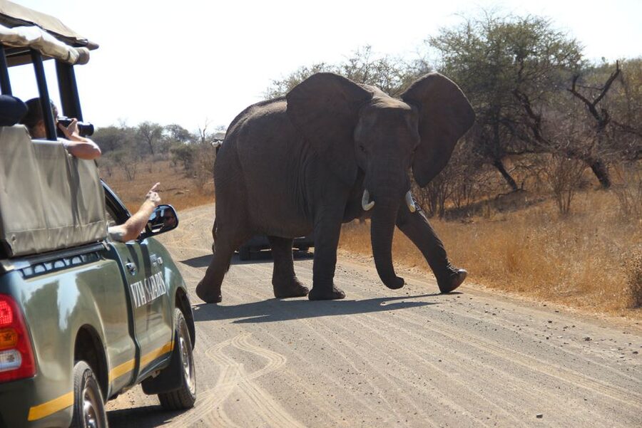Johannesburg: 3-Day Classic Kruger National Park Safari Tour - Who should book this safari