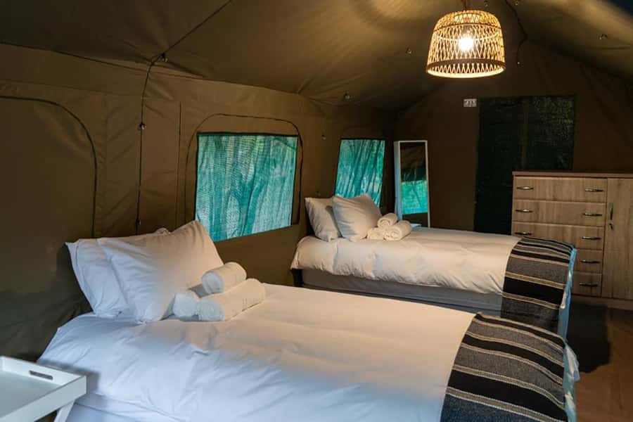 Johannesburg: 3-Day Kruger Budget Glamping Safari - Sekekama Tented Camp and the meaning of budget glamping