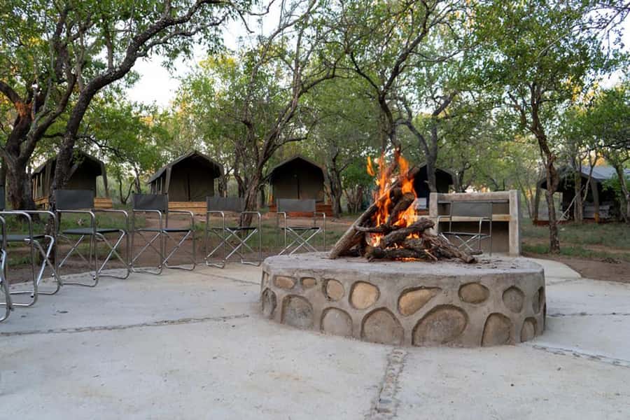 Johannesburg: 3-Day Kruger Budget Glamping Safari - Who should book this safari?