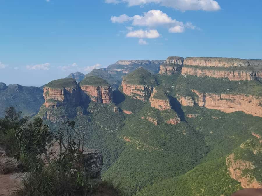 Johannesburg: 3-Day Panorama Tour with Kruger Park Safari - God’s Window and Blyde River Canyon