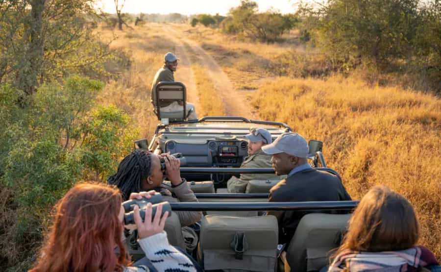 Johannesburg: 3-Day Pilanesberg Camping Adventure - What you might see on the Big Five drives