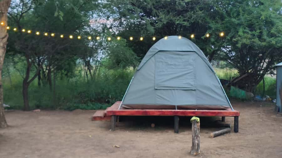 Johannesburg: 3-Day Pilanesberg Camping Adventure - Day 1: Johannesburg to the crater