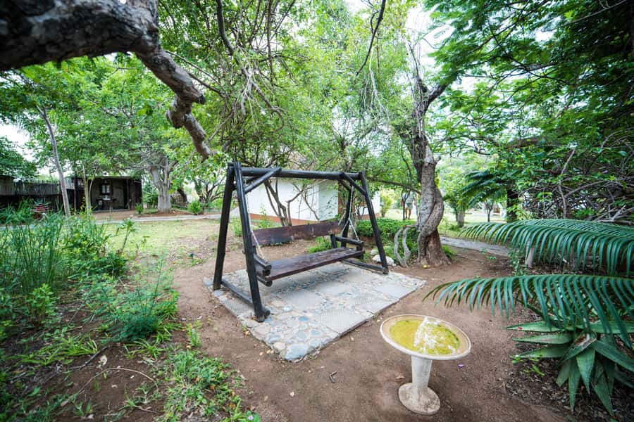 Johannesburg: 4-Day Classic Kruger National Park Safari - Should you book the four-day safari?