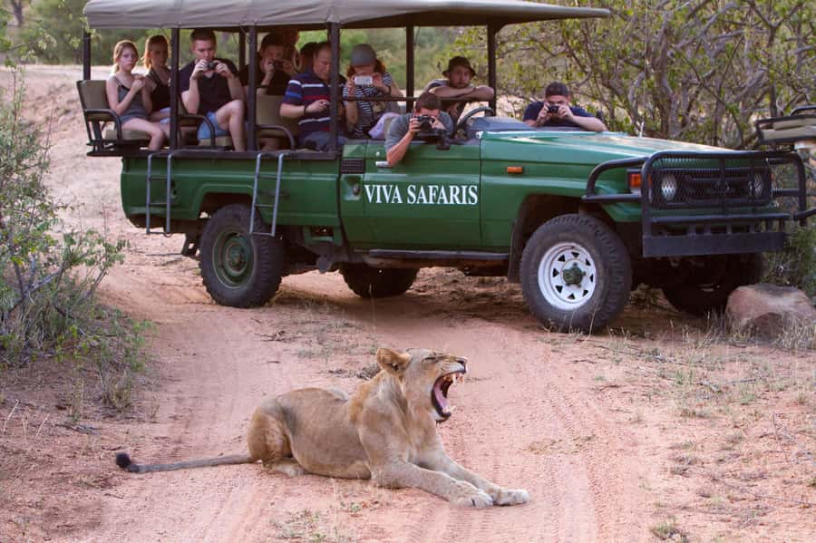 Johannesburg: 4-Day Classic Kruger National Park Safari - Walking through the bush with armed rangers
