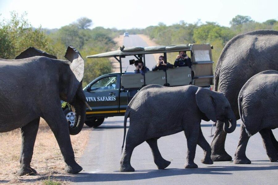 Johannesburg: 4-Day Classic Kruger National Park Safari - Sunrise, the last garden hour, and Blyde Canyon