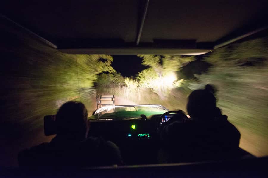 Johannesburg: 4-Day Classic Kruger National Park Safari - The first sunset drive and a bush barbecue