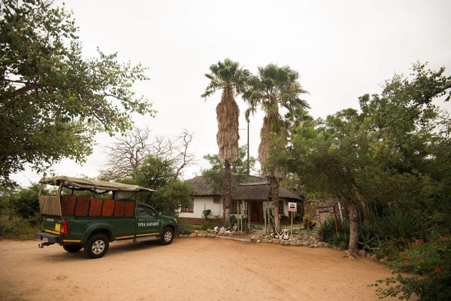 Johannesburg: 5-Day Classic Kruger National Park Safari - Days 3 and 4: Two full days inside Kruger National Park