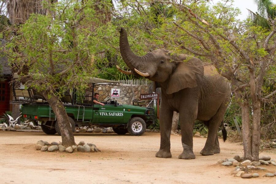 Johannesburg: 5-Day Classic Kruger National Park Safari - Day 5: Sunrise, Three Rondawels, and Blyde River Canyon